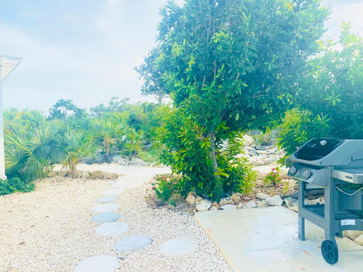 Modern Cottage With Chalk Sound Views Providenciales Dış mekan fotoğraf